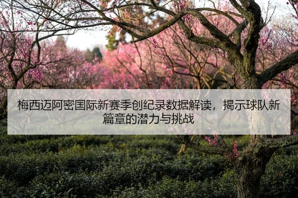 梅西迈阿密国际新赛季创纪录数据解读，揭示球队新篇章的潜力与挑战